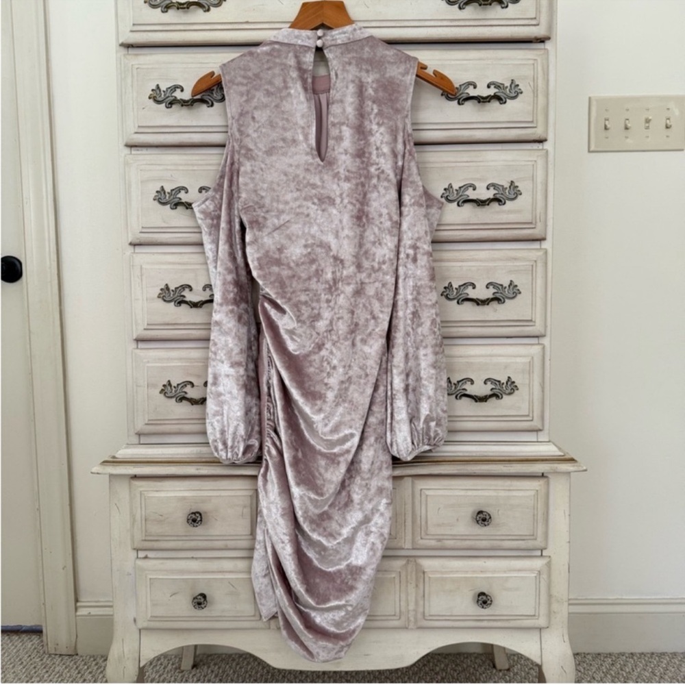 Express Velvet Ruched Dress - Picture 5 of 7